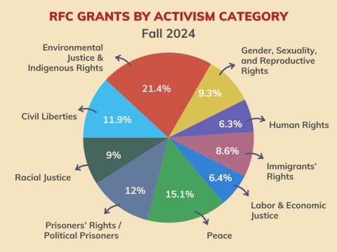 Pie Chart of Fall 2024 Grants by Activism Category