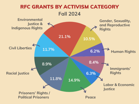 Pie Chart Showing Grants by Activism Category