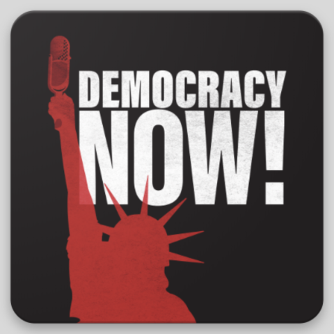 Democracy Now! logo 2