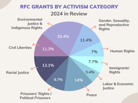 Pie Chart Showing 2024 Grants by Category