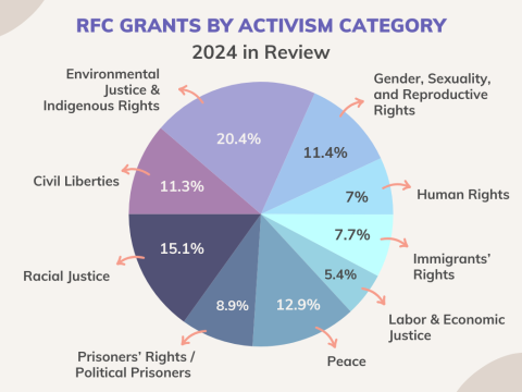 Pie Chart Showing 2024 Grants by Category